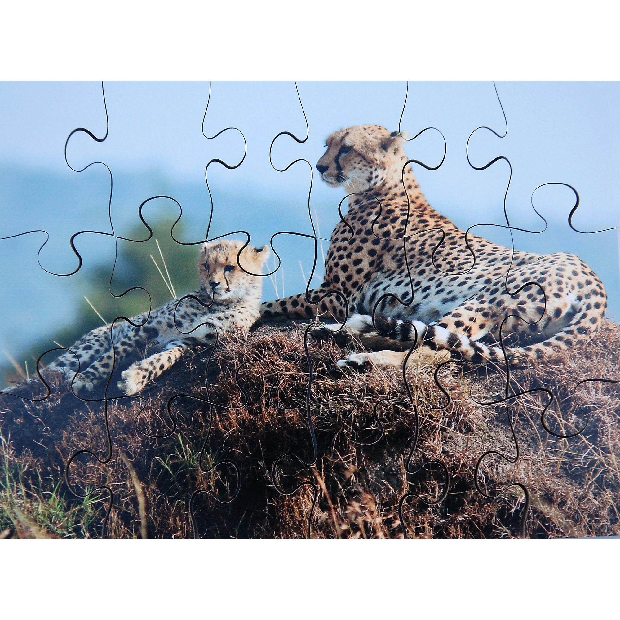 Wild Animals and their Young Jigsaws